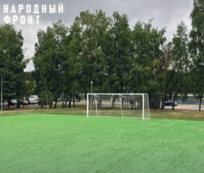 Народный фронт добивается установки защитного ограждения на футбольном поле в московском районе Бирюлево Восточное