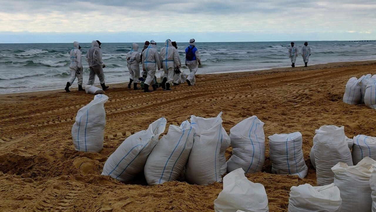 Помогать с очисткой Черного моря от мазута отправятся 30 волонтеров из Татарстана